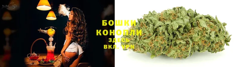 МАРИХУАНА SATIVA & INDICA  Кашин 